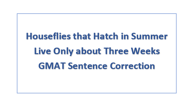 Houseflies that Hatch in Summer Live Only about Three Weeks GMAT Sentence Correction